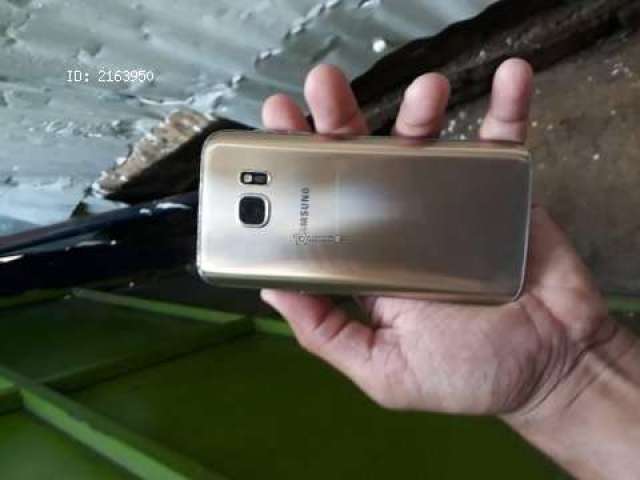 S7 Gold nitido S7 Gold nitido
