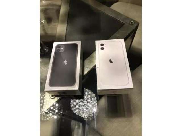 iPhone 11 iPhone 11