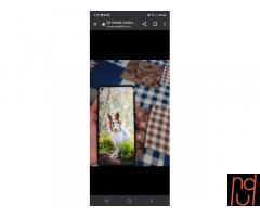 Se Vende Celular Samsung A21s Semi Nuevo